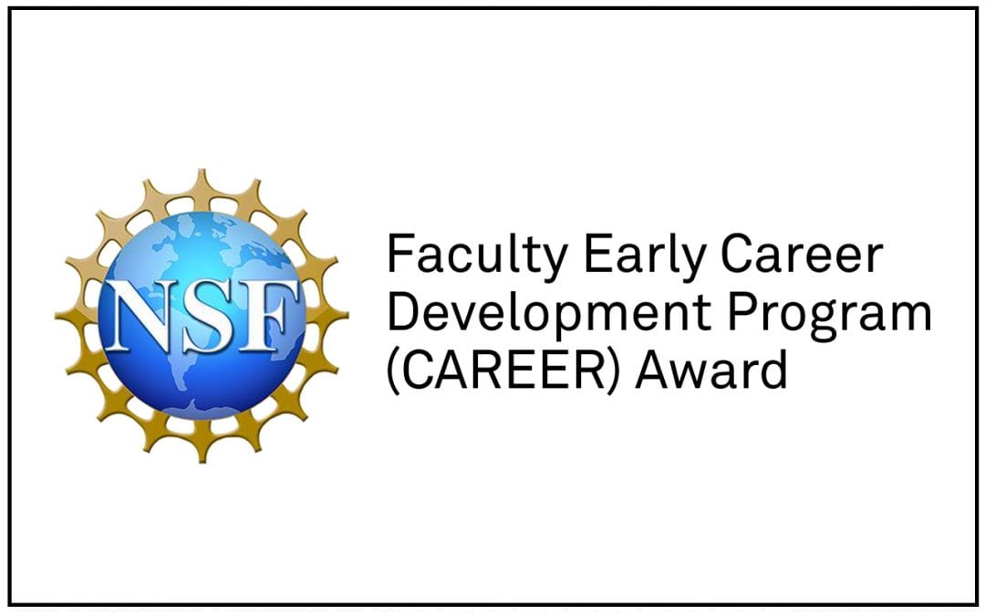 NSF CAREER Award! The Homepage of Dr Thomas White's Research Group